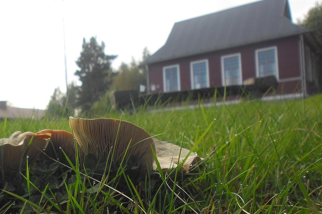 Hovra Vandrarhem Håvra Zewnętrze zdjęcie